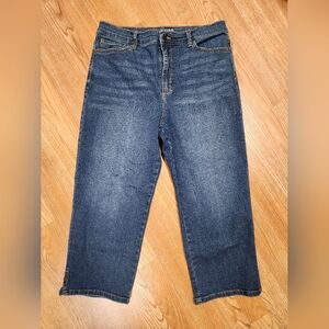 Gloria Vanderbilt womens Amanda Capri Pants, Size 10